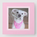 Recherche de murale de ros horloges Girly