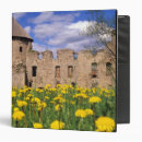 Search for dandelion binders Flower
