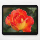 Search for dew mousepads Floral