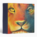 Search for lions binders Big cat