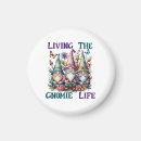 Search for gnome magnets Summer
