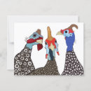 Recherche de mou cartes postales Oiseau