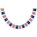Search for bbq bunting flags Stars and stripes