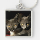 Search for furry animal keychains Cat