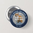 Recherche de propriétaire badges Pour animaux