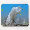 Search for egrets mousepads Wildlife