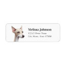 Search for italian greyhound return address labels Cute