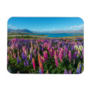 Recherche de zeland magnets Fleur