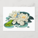 Search for dragonfly horizontal postcards Frog