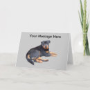 Search for rottweiler puppies cards Rottweilers