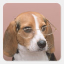 Search for serious stickers Animal
