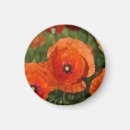 Search for papaver magnets Poppy