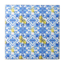 Search for amalfi tiles Pattern