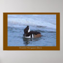 Recherche de cul de posters Animaux