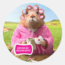 Search for coffe stickers Funny