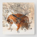 Recherche de tigres horloges Neige