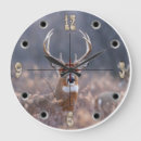 Recherche de cerfs communs horloges Mâle