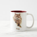 Search for foxy mugs Nature