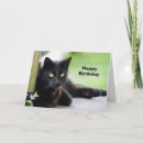Search for black cat birthday cards Feline