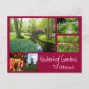Recherche de keukenhof Jardins de keukenhof