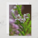 Recherche de bruyère invitations Floral