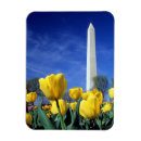 Search for washington dc magnets Obelisk