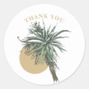 Search for alo stickers Vera