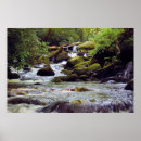 Search for the stream posters River