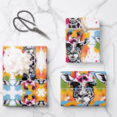 Search for splash wrapping paper Cute