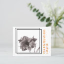 Search for floral accents postcards White