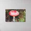 Search for danita delimont canvas prints Forest