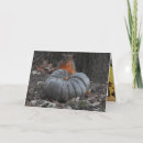 Search for funny squirrel cards Autumn