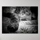 Search for clawed posters For kids