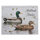 Search for duck calendars Birds