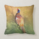 Search for pheasant pillows Feathers
