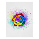 Search for rainbow rose posters Flower