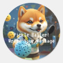 Search for baller stickers Pickleball
