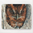 Search for bird hunting electronics Outdoors