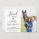 Search for horse wedding save the dates Modern