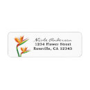 Search for birds of paradise return address labels Elegant