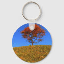 Search for clearing keychains Tree