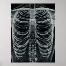 Search for rib bone art Vintage