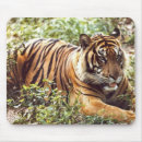 Recherche de tiger tapis souris Jungle