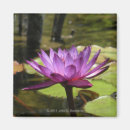 Search for water magnets Floral