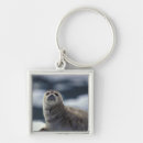 Search for alaska state keychains Seal