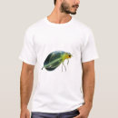 Search for plankton Animals