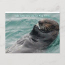 Search for some postcards Fun