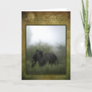 Search for equine holiday cards Horse