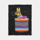Search for serape blankets Viva mexico