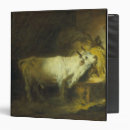 Search for stable binders Animal